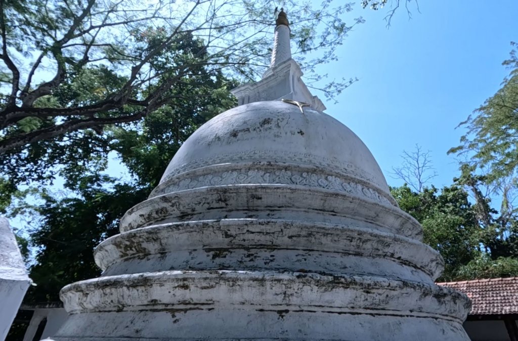 bodiya